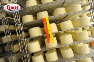 Traçabilité des fromages